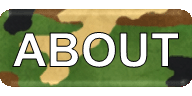 AMVETS Post #17 About Page